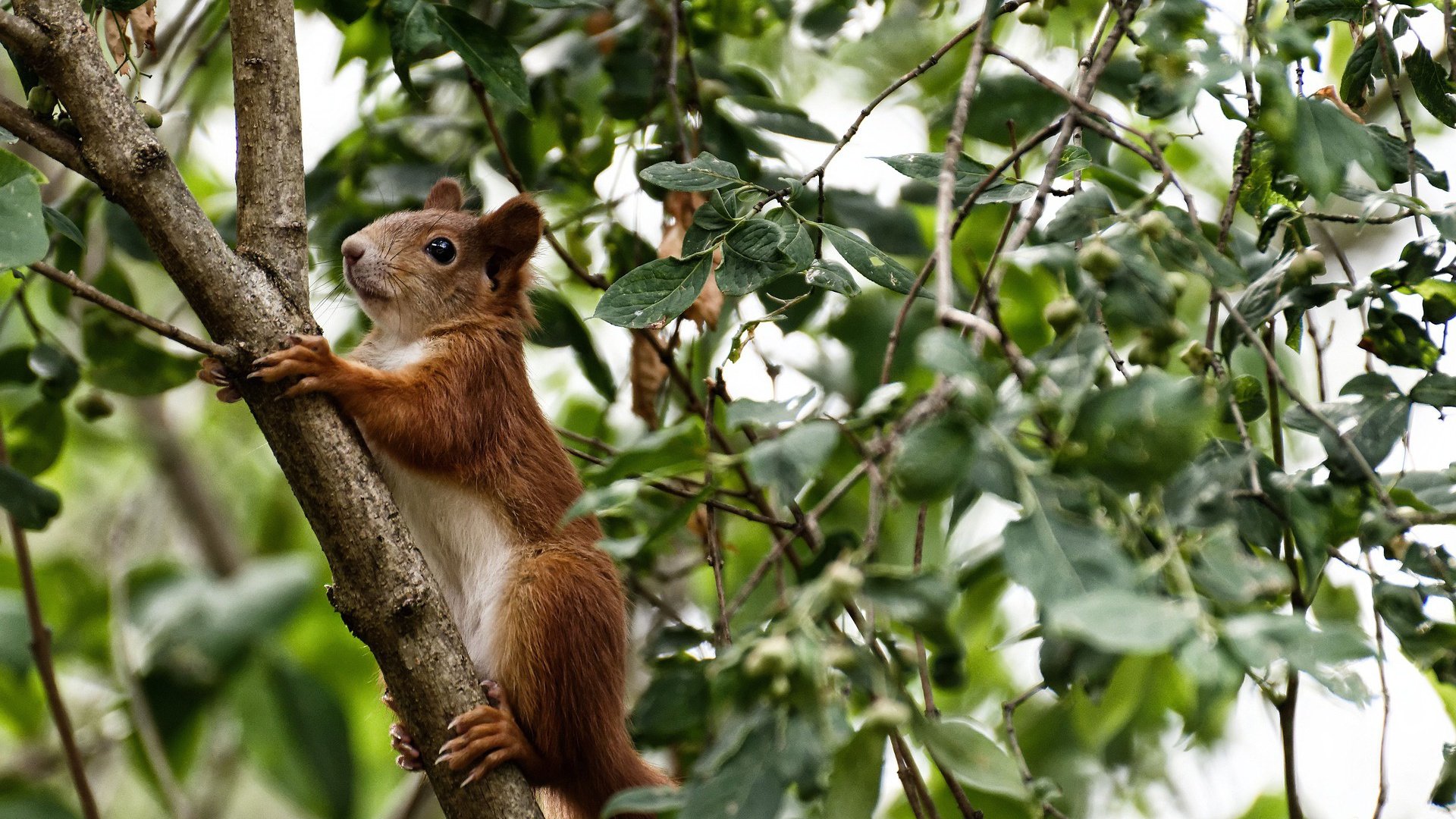 九游娱乐官网 (JIUYOU)-“球队激烈拼杀，战术创新助力攻势突围”
