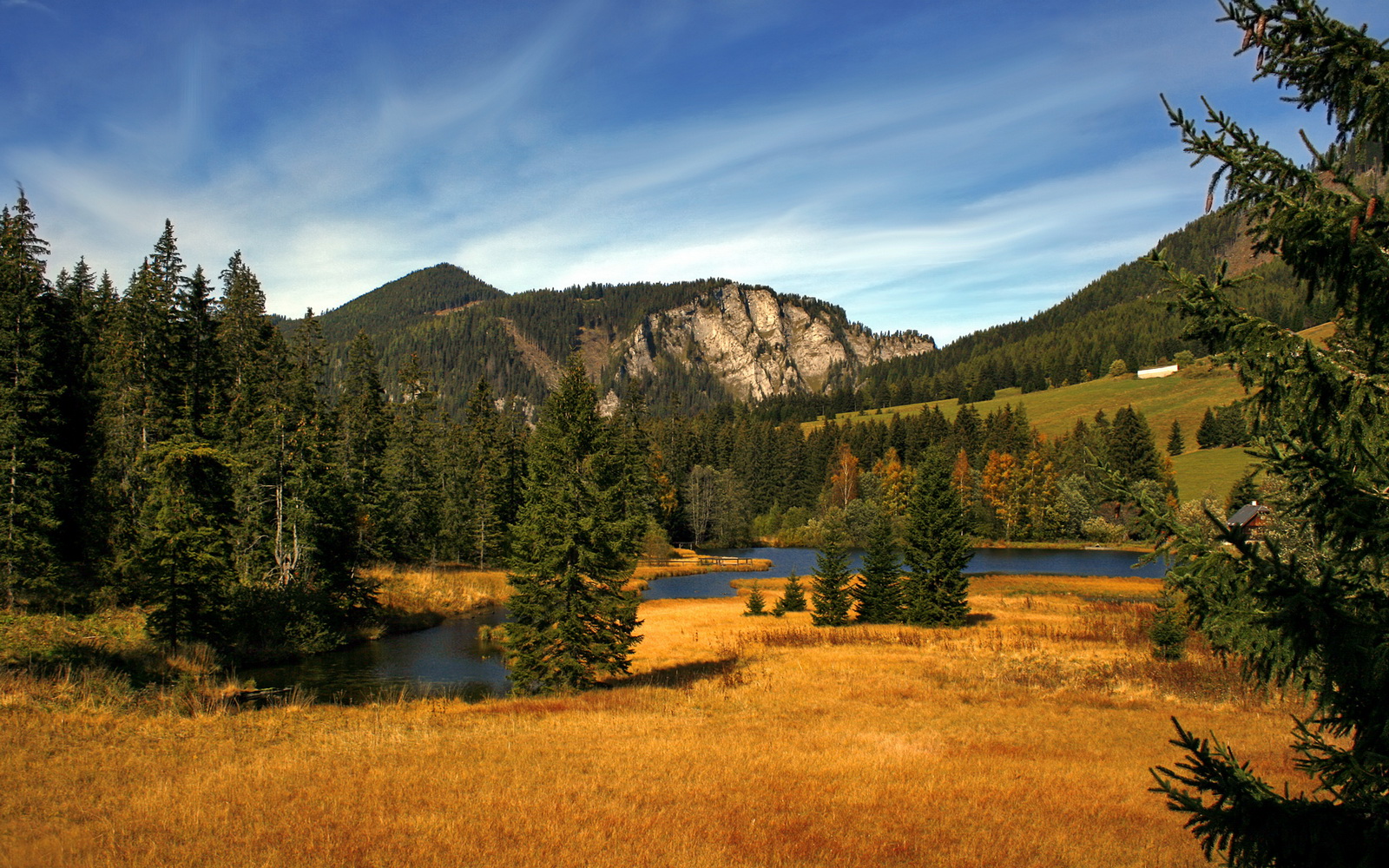 “法甲激烈竞争,冠军争夺愈发激烈”,法甲冠军2021