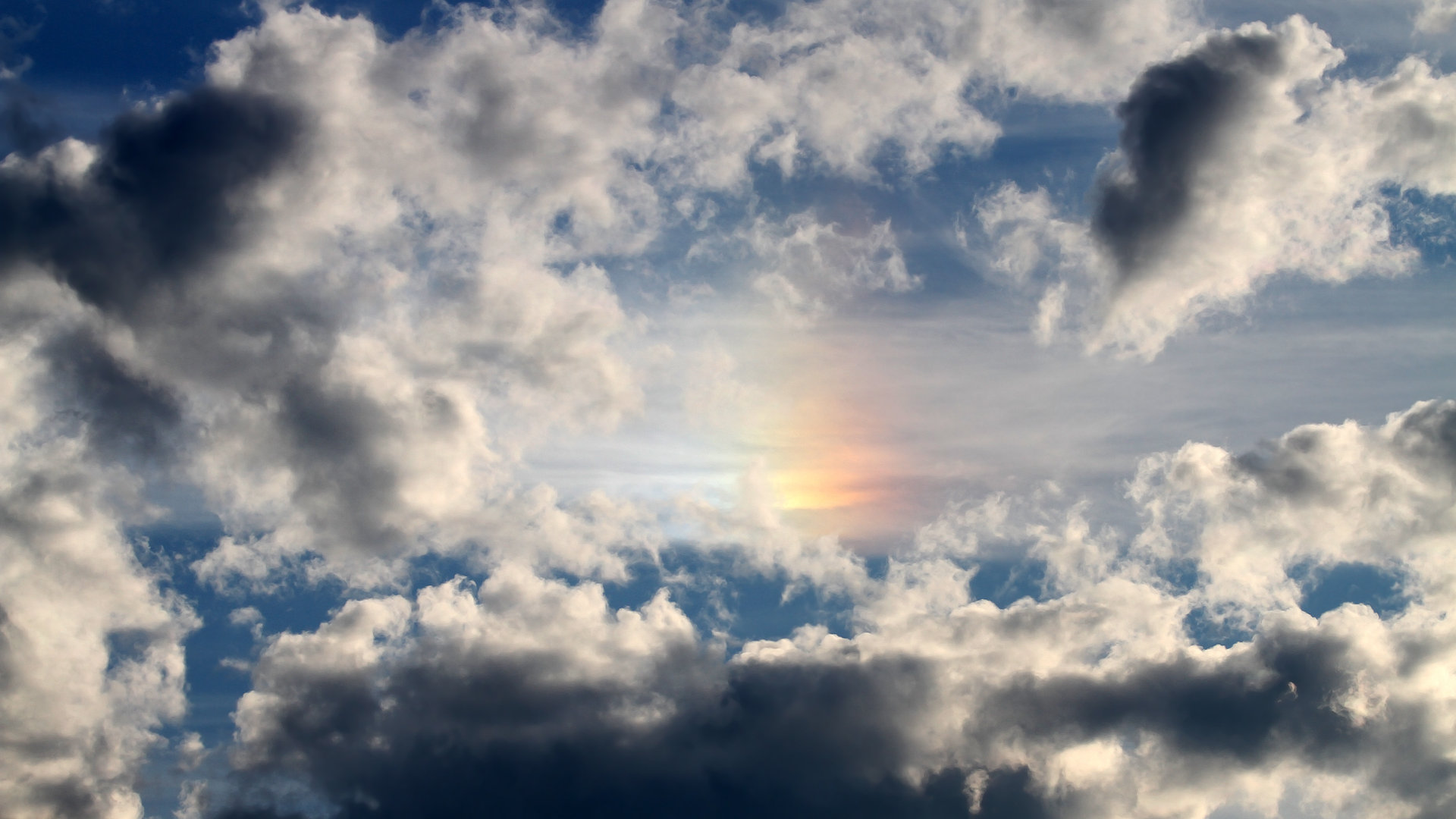 九游网-《星际争霸2》WCS：人族、虫族、神族平衡性调整的讨论，星际争霸2 虫族