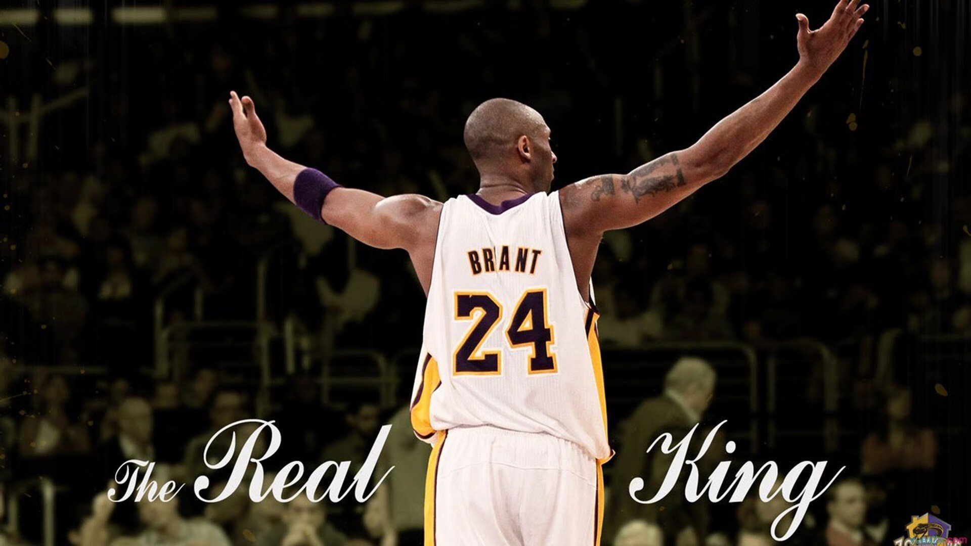 可圈可点:本周最佳团队合作集锦,最佳团队组合