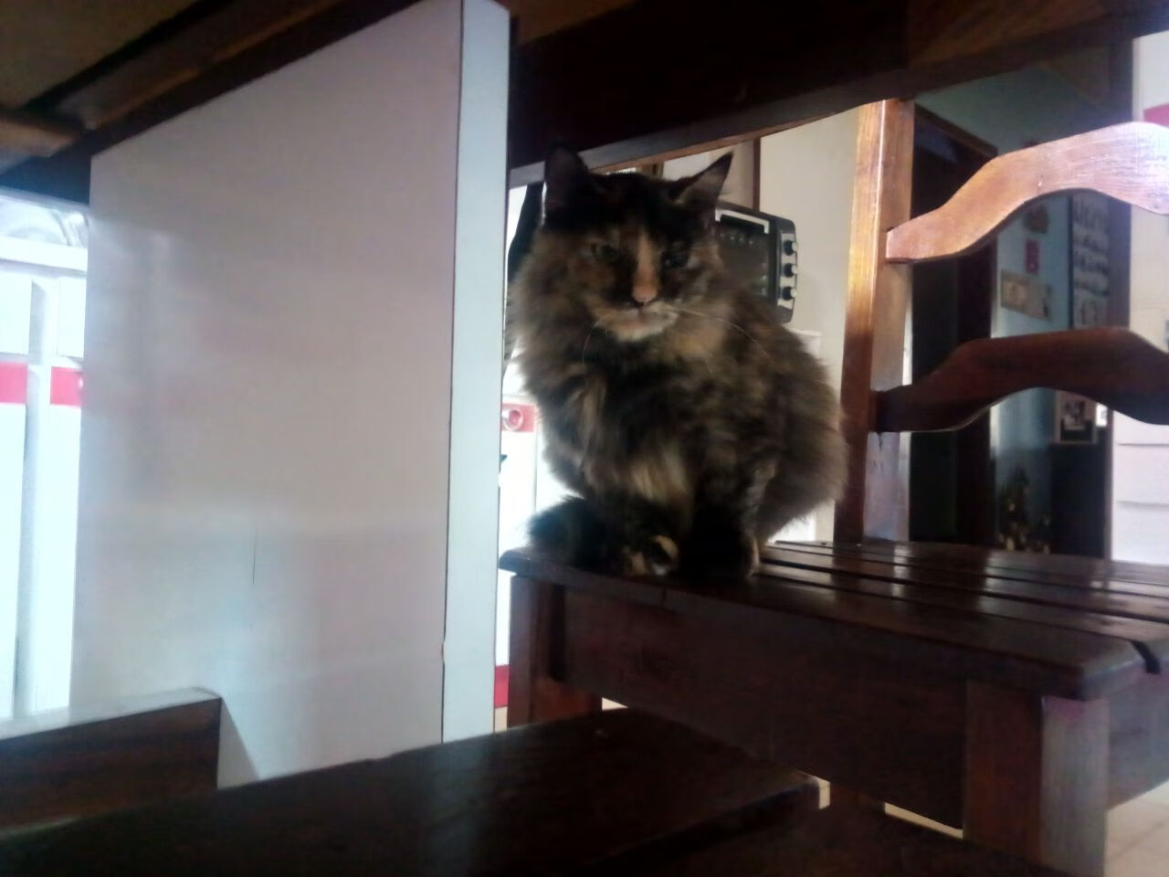 史上最大“黑马登顶”赛:逆境中的奇迹,2021 黑马