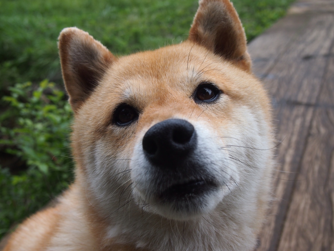 史上最强阵容:NBA历史上的黄金阵容推荐,nba历史最强阵容图片