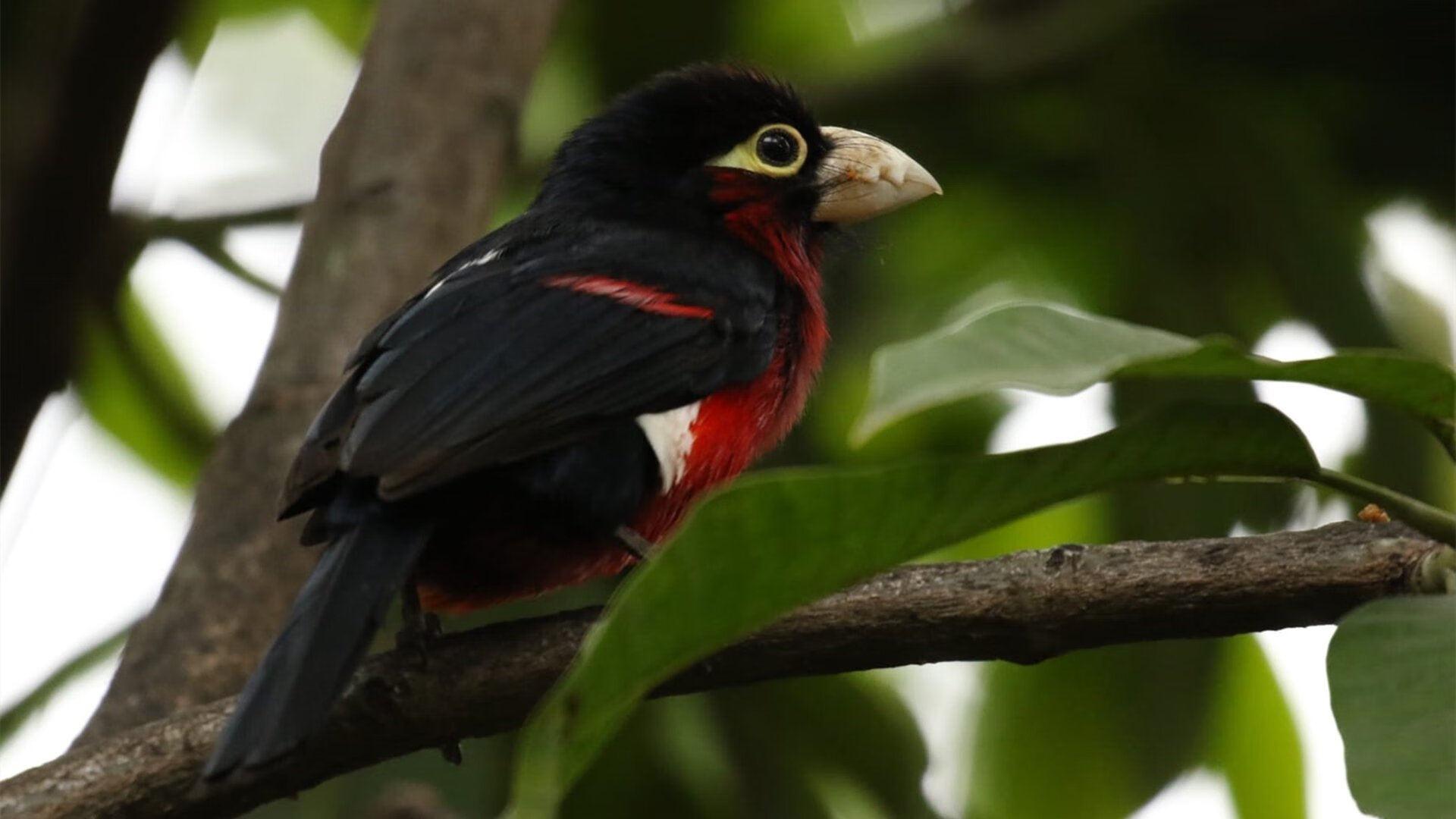 -梅西亲临看台助威奥运小将，梅西奥运会mvp