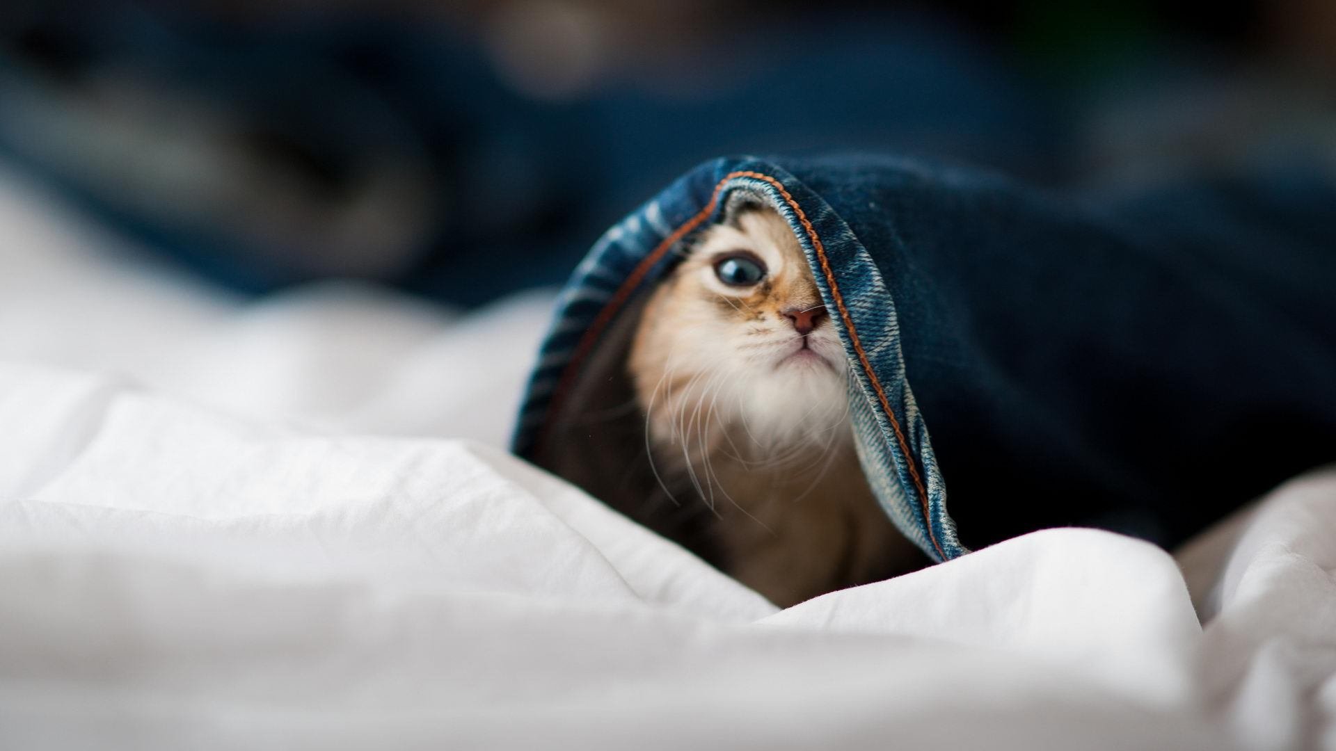 JIU YOU GAME-杭州瑜伽论坛成功举办，探讨行业未来，杭州瑜伽馆一般怎么收费