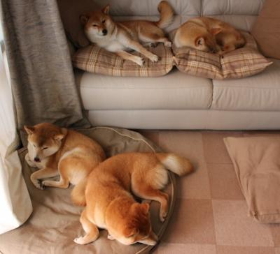 JIU YOU GAME-球队战术揭秘：教练如何调兵遣将？，教练布置战术