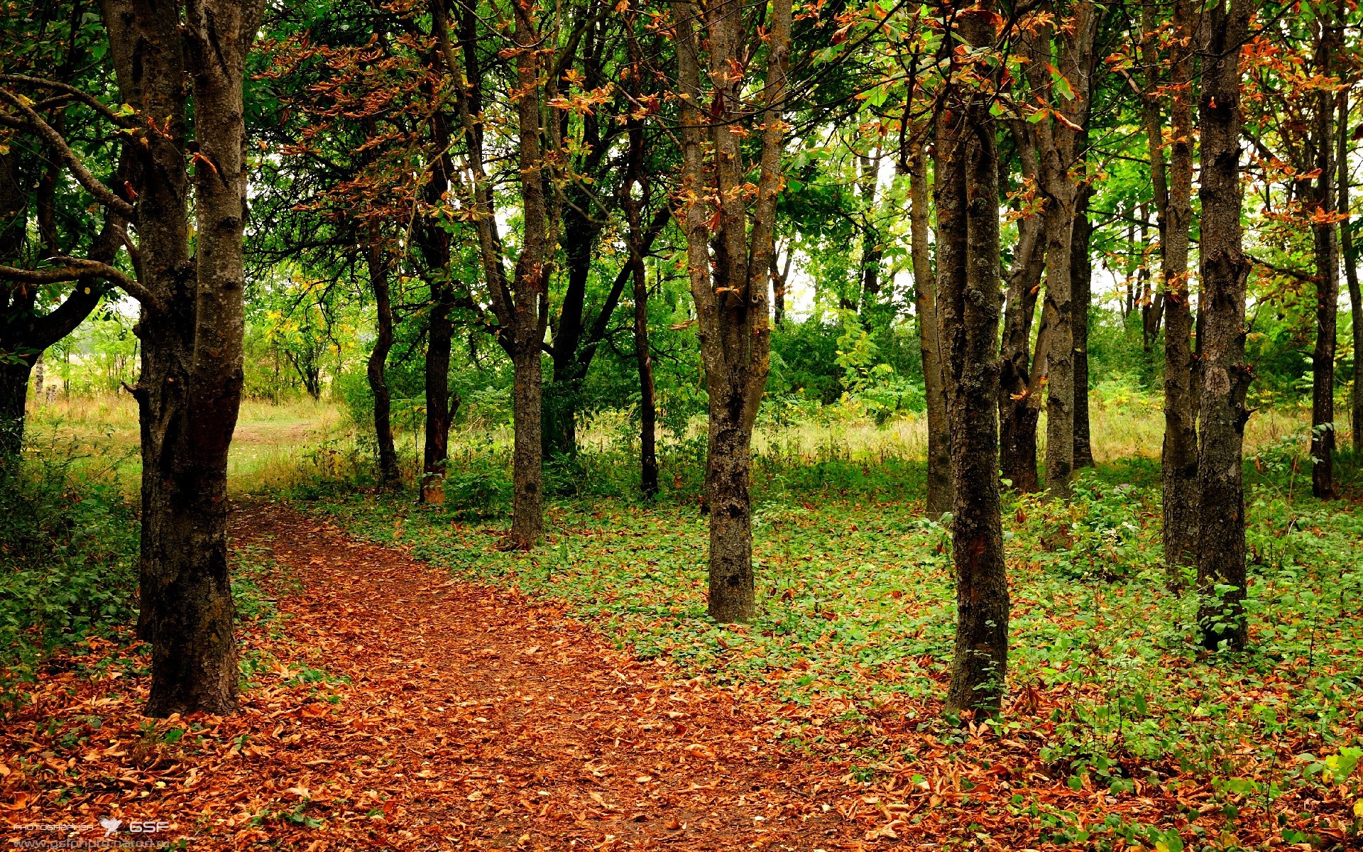 篮球明星公益赛事吸引大量球迷关注,篮球明星比赛