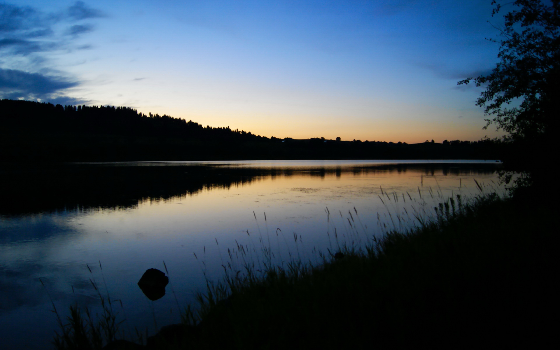 葡萄牙马术协会引入智能马鞍系统,实现实时数据监测与分析,提升骑乘体验。