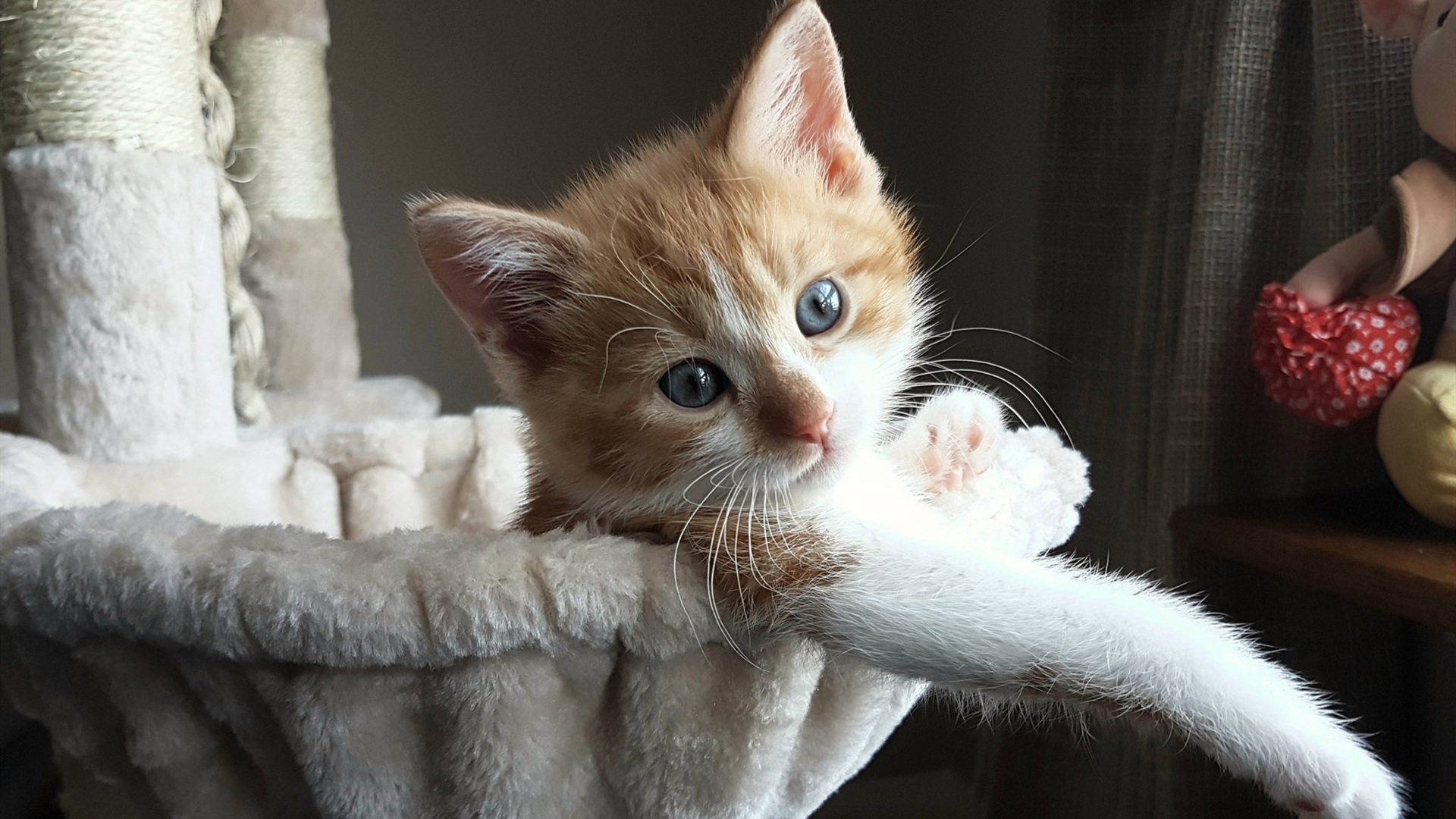 九游sports-金砖国家篮球交流赛在北京圆满举行，金砖入篮是什么意思