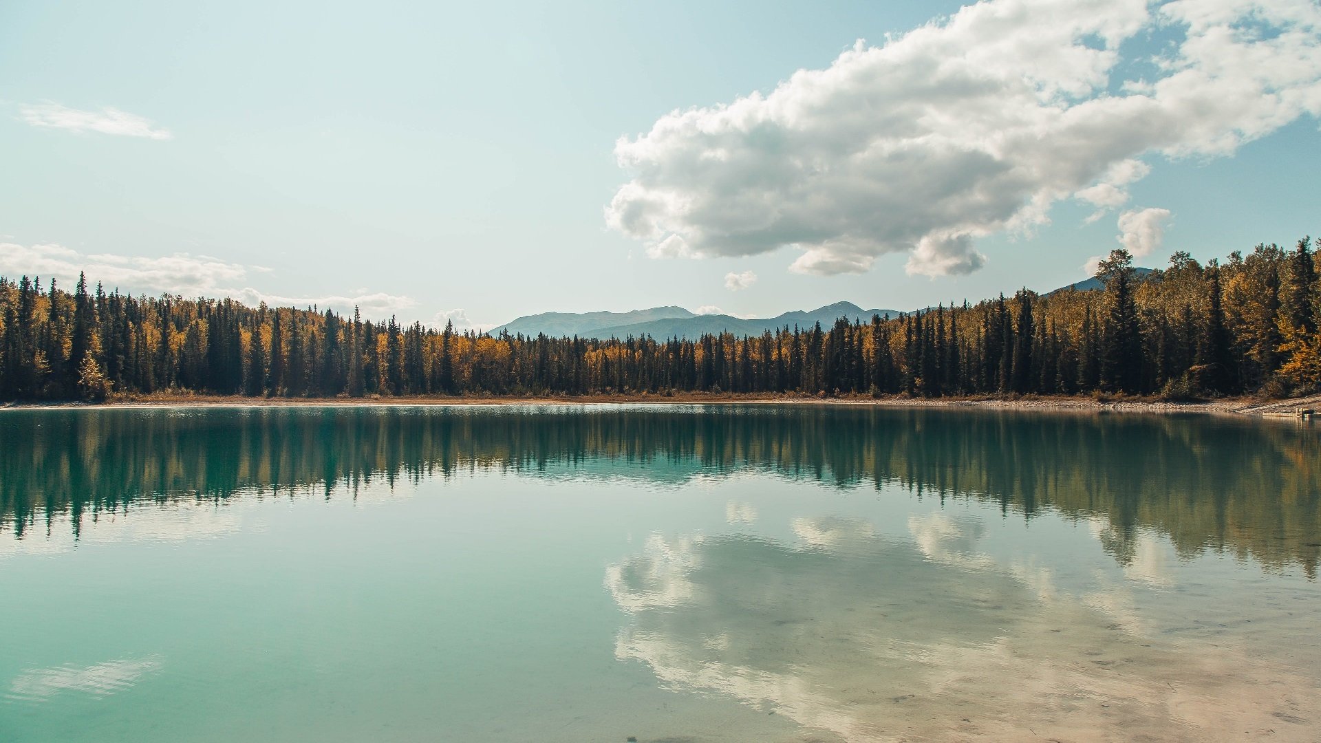 EDG战队新赛季宣传片发布，edg重磅官宣