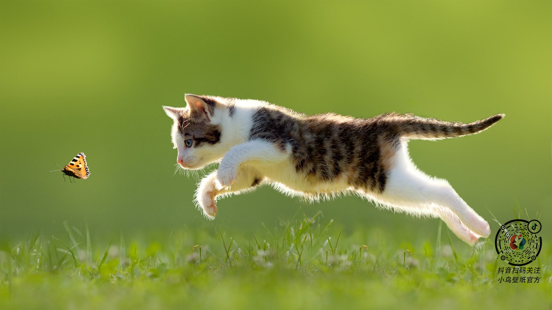 塞尔维亚国家队实力惊人,欧国联对手望风而逃,塞尔维亚队足球