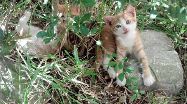 女足年轻球员比赛经验丰富,中国女足青年