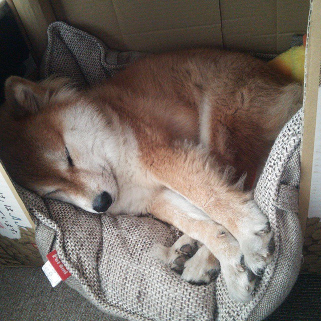 强队迎战!备战关键战役的教练公布阵容,强队迎战!备战关键战役的教练公布阵容了吗