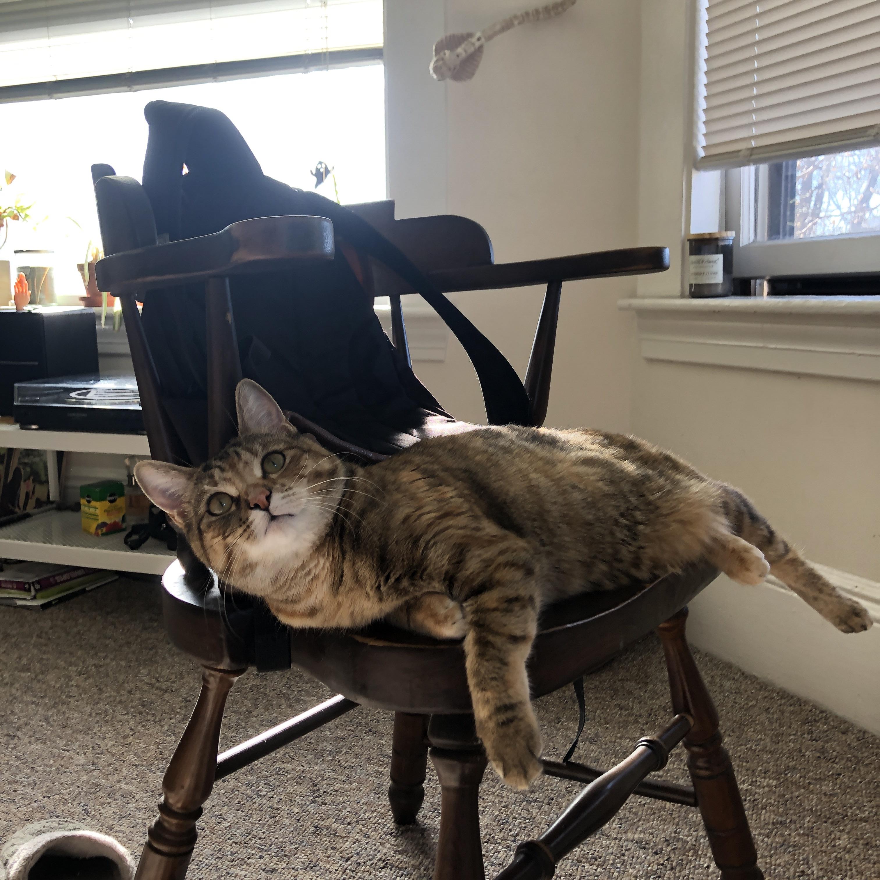 快船逆转雷霆,关键一役中乔治带伤作战,快船 乔治绝招