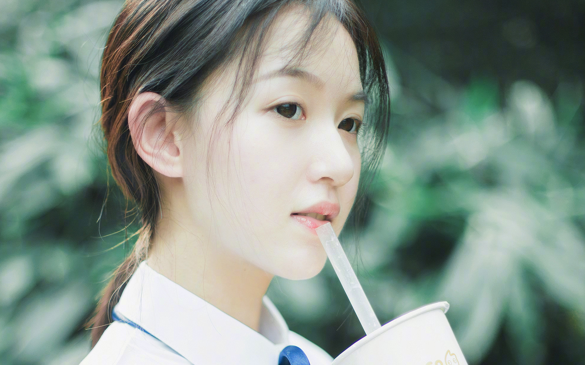 维达德卡萨布兰卡备战国际赛事,目标争夺冠军,卡萨布兰卡 简介