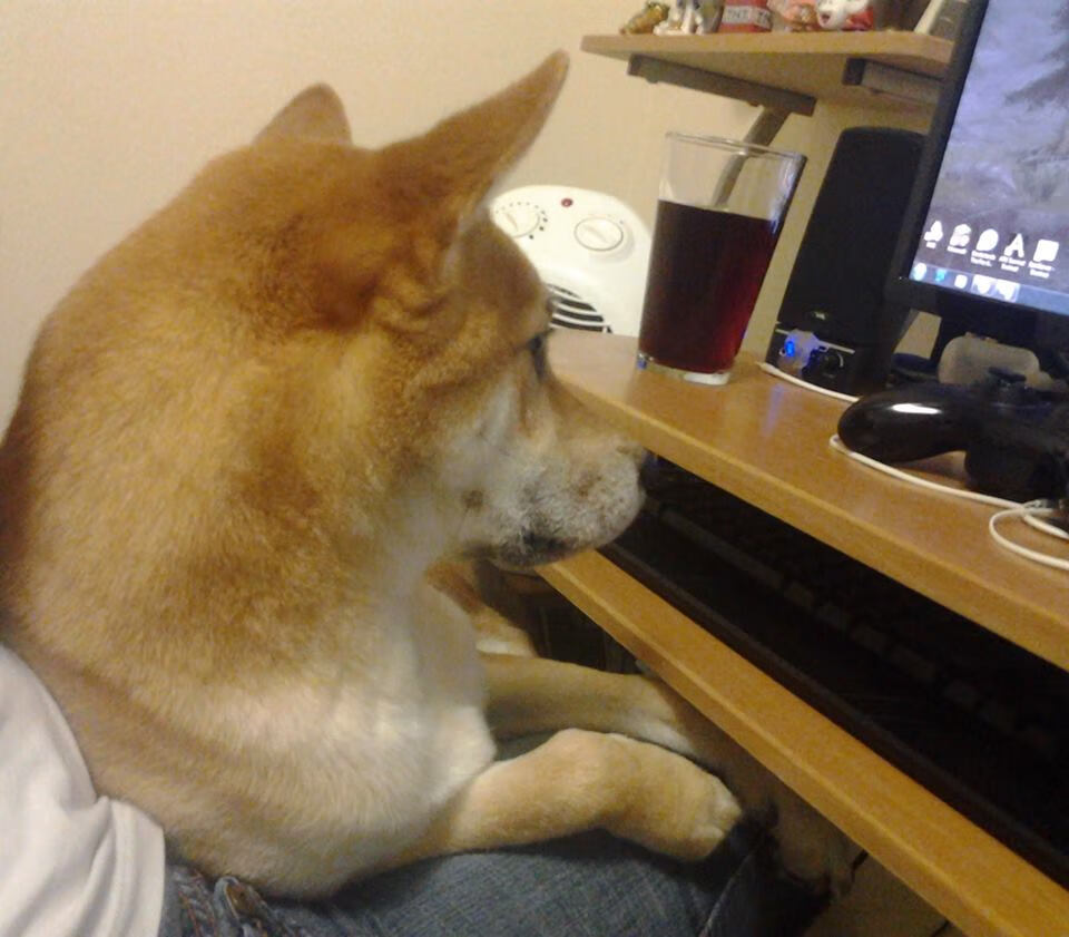 职业篮球俱乐部资金运作，篮球俱乐部如何盈利