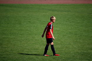 九游下载安装-世界拳击青年赛中国选手勇夺金腰带，世界拳击表演赛