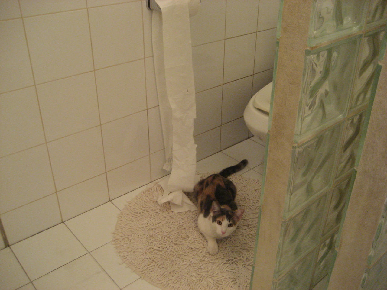 九游电脑版-“沙滩合球：2025世界运动会带来沙滩赛场全新体验”