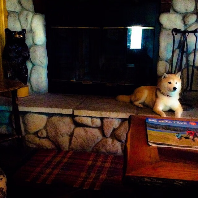 亚冠联赛中国足球冲击 冠军梦再度点燃,亚冠中国俱乐部