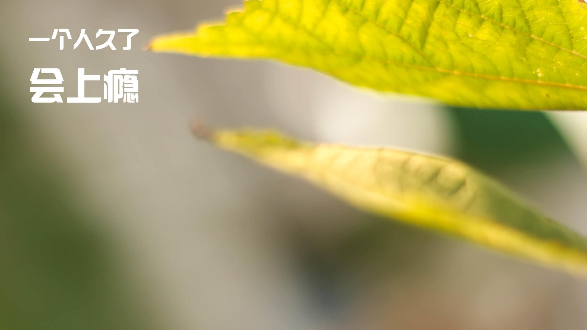 九游APP官网-国家队备战缺少科学训练方案，国家队备战缺少科学训练方案是什么