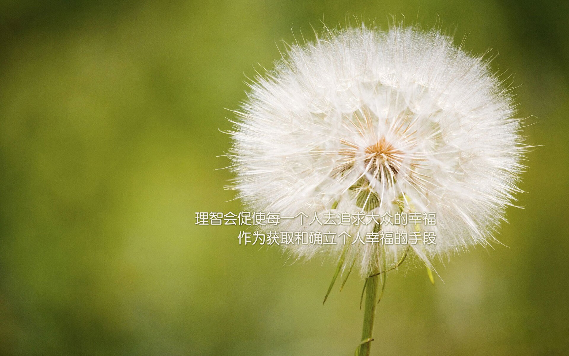 JiuyouAPP下载-库里投中制胜三分全场沸腾欢呼，库里投全场三分视频