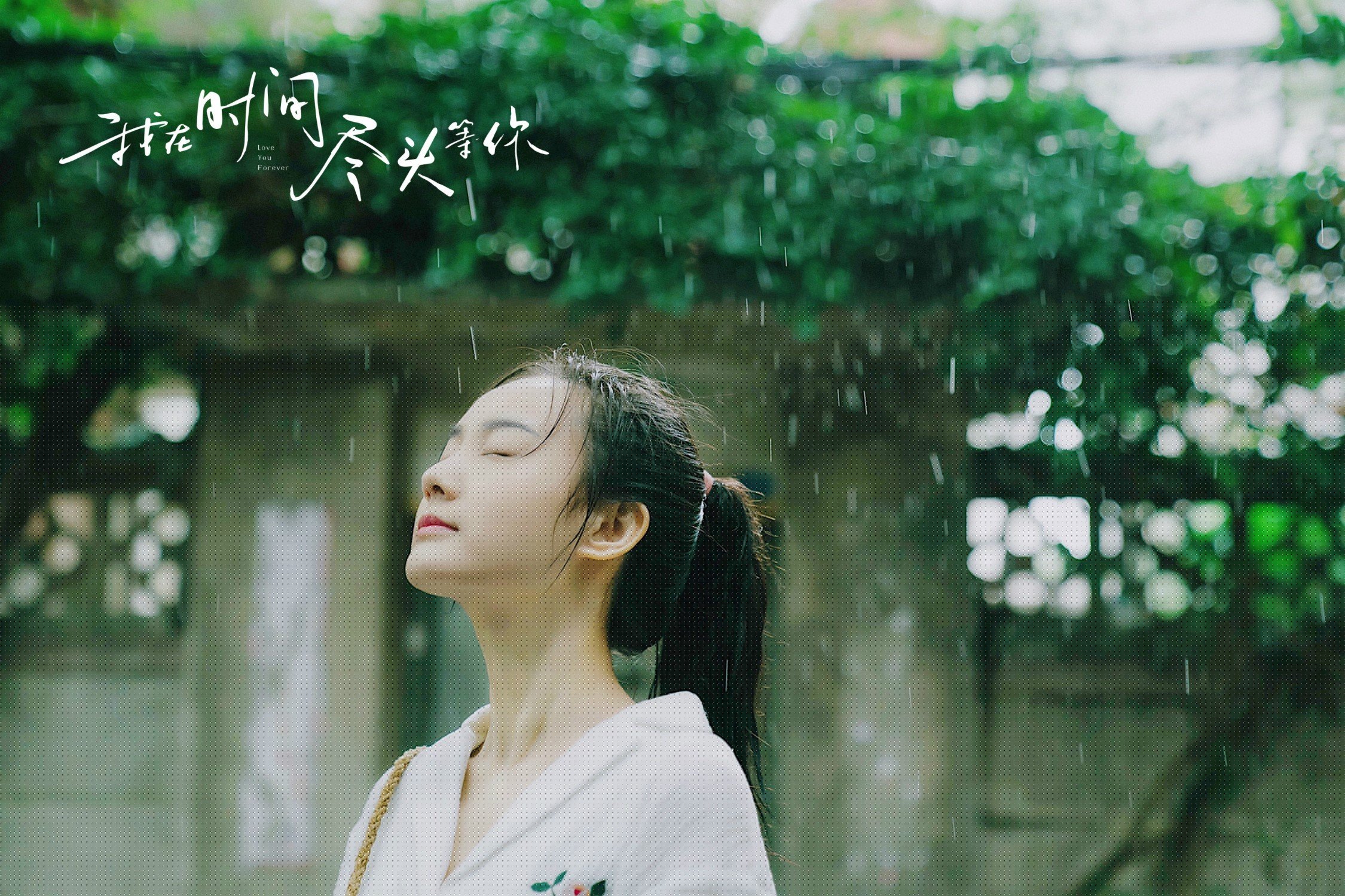 格鲁吉亚女篮在欧洲锦标赛中夺冠,迎来崭新高度,格鲁吉亚女子联赛