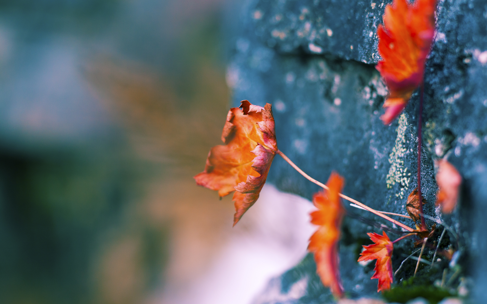 退役运动员转型教练推动基层篮球人才培养和推广，职业篮球运动员退役