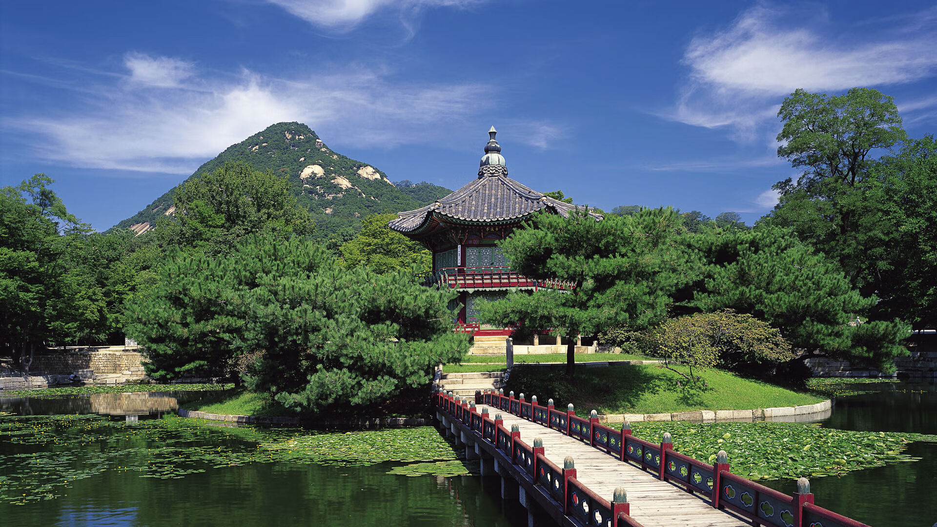 青训项目扩展至北部地区，青训项目扩展至北部地区的措施